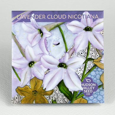 Lavender Cloud Nicotiana - Indie Indie Bang! Bang!