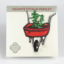 Load image into Gallery viewer, Gigante D&#39;Italia Parsley Seeds - Indie Indie Bang! Bang!