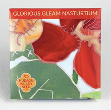 Load image into Gallery viewer, Glorious Gleam Nasturtium Seeds - Indie Indie Bang! Bang!