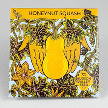 Load image into Gallery viewer, Honeynut Squash Seeds - Indie Indie Bang! Bang!
