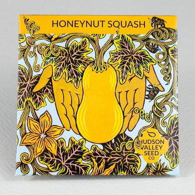 Honeynut Squash Seeds - Indie Indie Bang! Bang!