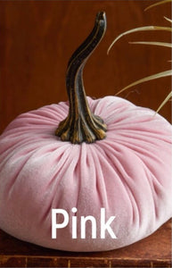 Small Velvet Pink Pumpkin - Indie Indie Bang! Bang!