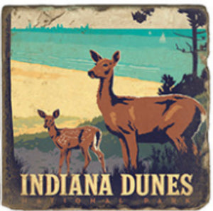 Indiana Dunes Deer Coaster - Indie Indie Bang! Bang!