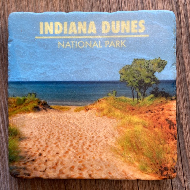 Indiana Dunes Beach Scene Coaster