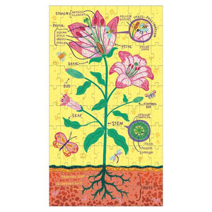 Plant Anatomy Puzzle Set - Indie Indie Bang! Bang!