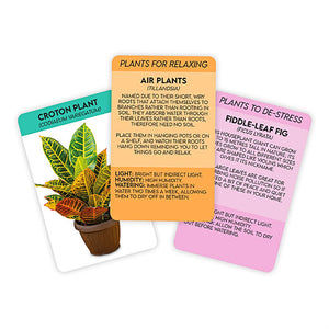 Positive Plants Cards - Indie Indie Bang! Bang!