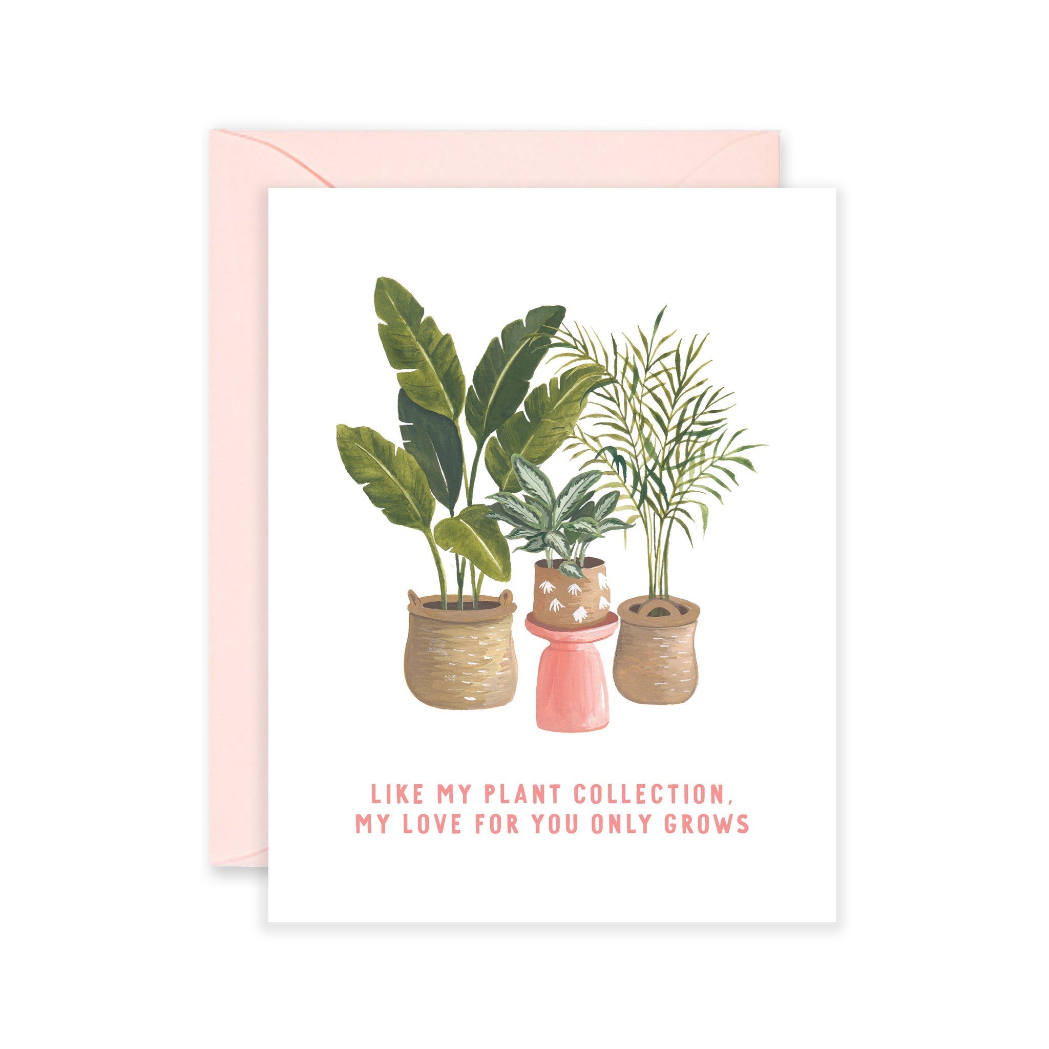 indie plant pots Potted Plants Love– Indie Indie Bang! Bang!