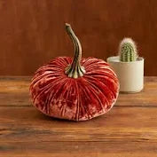 Small Velvet Burnt Orange Pumpkin - Indie Indie Bang! Bang!