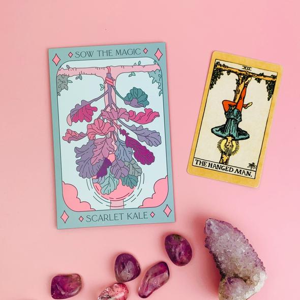 Sow the Magic Scarlet Kale Tarot Seed Packet - Indie Indie Bang! Bang!