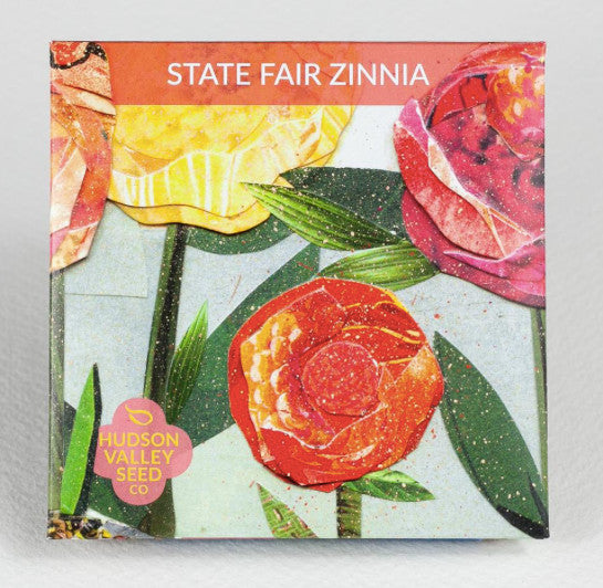 State Fair Zinnia - Indie Indie Bang! Bang!