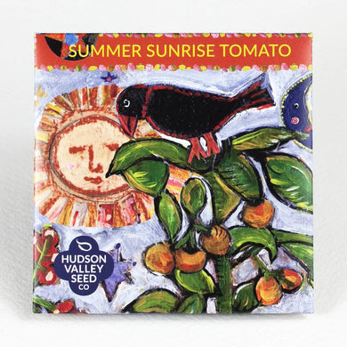 Summer Sunrise Tomato Seeds - Indie Indie Bang! Bang!