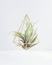 Load image into Gallery viewer, Hanging Wall Sconce - Indie Indie Bang! Bang!