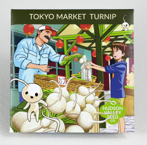 Tokyo Market Turnip Seeds - Indie Indie Bang! Bang!