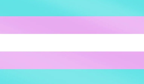 Trans Flag Sticker