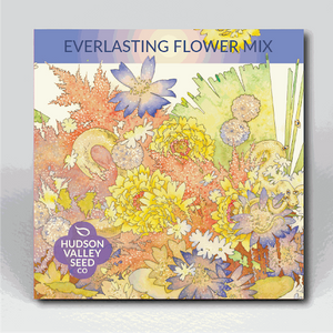 Everlasting Flower Mix - Indie Indie Bang! Bang!