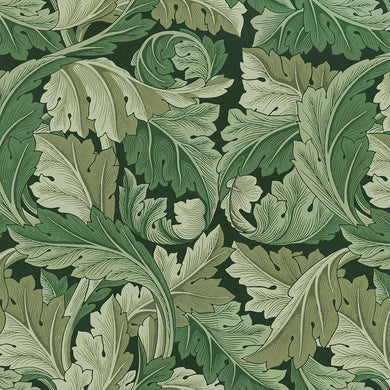 38x56 Acanthus Sage Green - Indie Indie Bang! Bang!