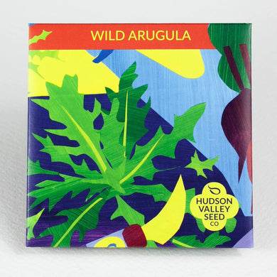 Wild Arugula Seeds - Indie Indie Bang! Bang!