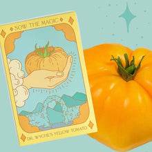 Load image into Gallery viewer, Dr. Wyche&#39;s Yellow Tomato Tarot Seed Packet - Indie Indie Bang! Bang!